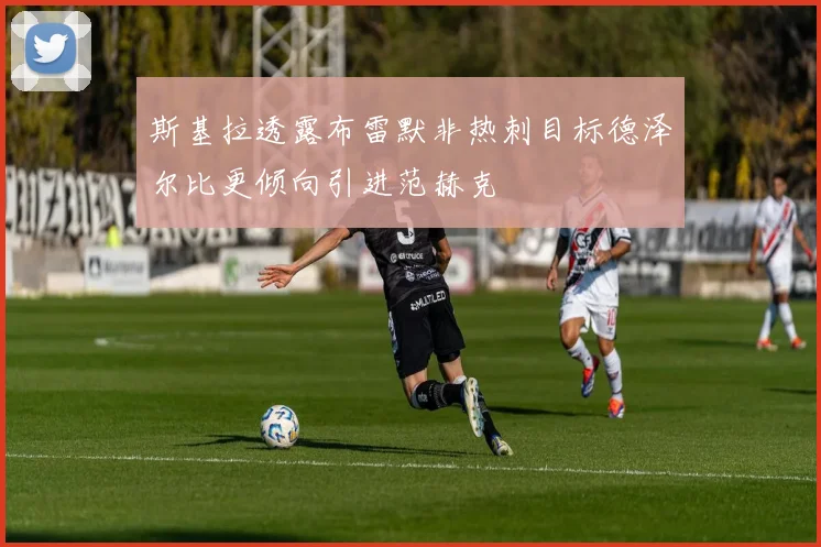 斯基拉透露布雷默非热刺目标德泽尔比更倾向引进范赫克